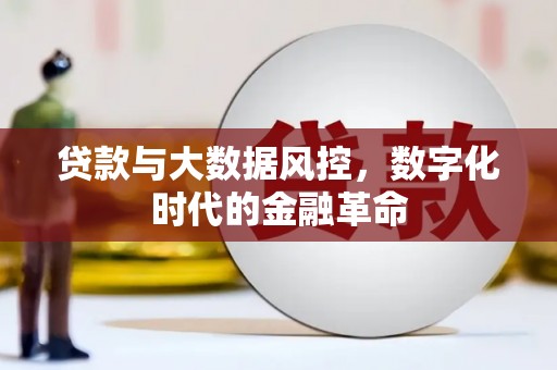 丰顺贷款与大数据风控，数字化时代的金融革命