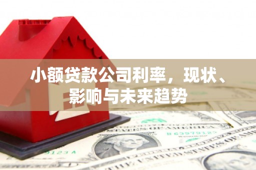 南充小额贷款公司利率，现状、影响与未来趋势