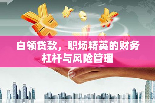杂多白领贷款，职场精英的财务杠杆与风险管理