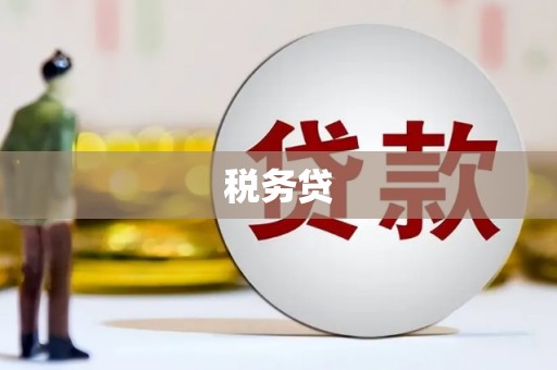 金安税务贷