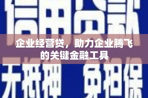 志丹企业经营贷，助力企业腾飞的关键金融工具