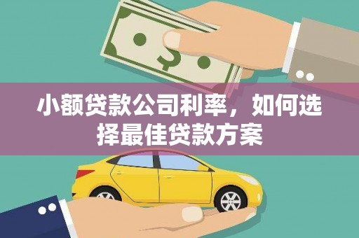 琼结小额贷款公司利率，如何选择最佳贷款方案