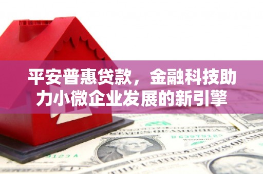 曲麻莱平安普惠贷款，金融科技助力小微企业发展的新引擎