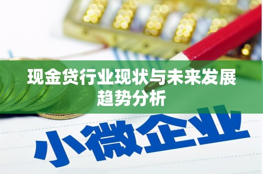 紫阳现金贷行业现状与未来发展趋势分析