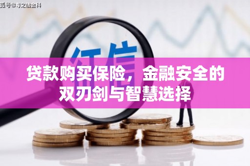 延津贷款购买保险，金融安全的双刃剑与智慧选择