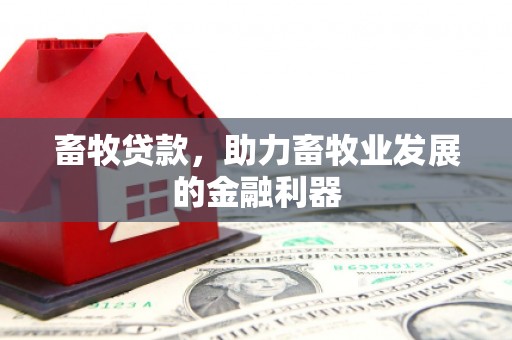 渭城畜牧贷款，助力畜牧业发展的金融利器