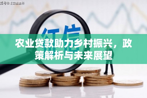 吴起农业贷款助力乡村振兴，政策解析与未来展望
