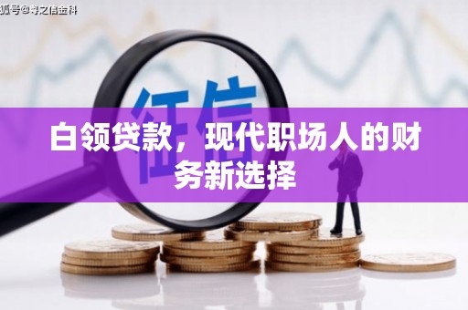 安陆白领贷款，现代职场人的财务新选择