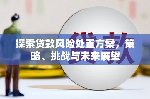 秦淮探索贷款风险处置方案，策略、挑战与未来展望