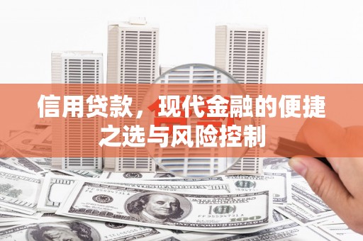 嘉祥信用贷款，现代金融的便捷之选与风险控制