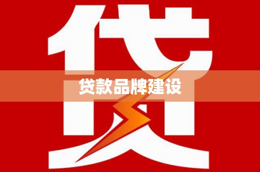 禄丰贷款品牌建设