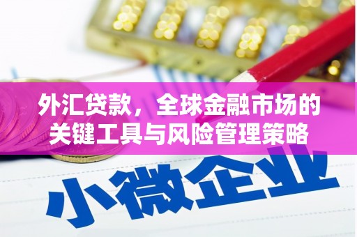 岗巴外汇贷款，全球金融市场的关键工具与风险管理策略