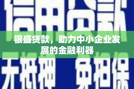 特克斯银盛贷款，助力中小企业发展的金融利器