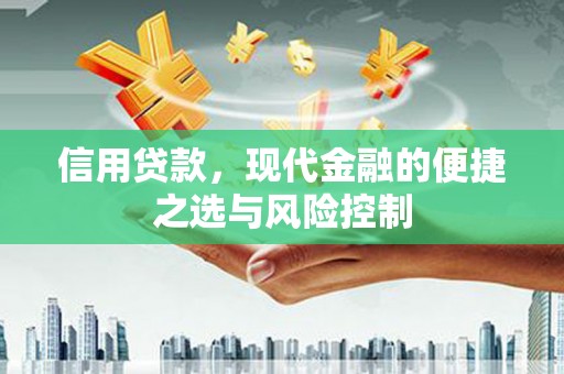 沂源信用贷款，现代金融的便捷之选与风险控制