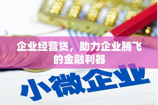 鱼池企业经营贷，助力企业腾飞的金融利器