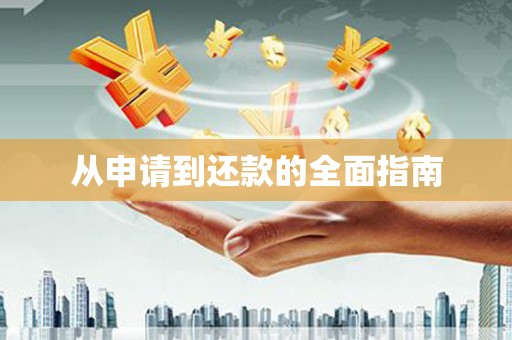 天元从申请到还款的全面指南