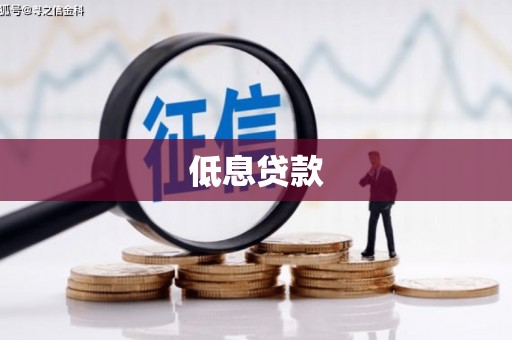 金湖低息贷款