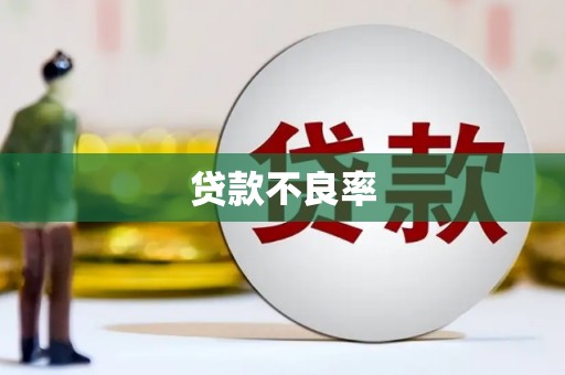 思茅贷款不良率