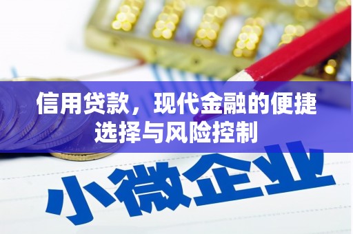盘县信用贷款，现代金融的便捷选择与风险控制