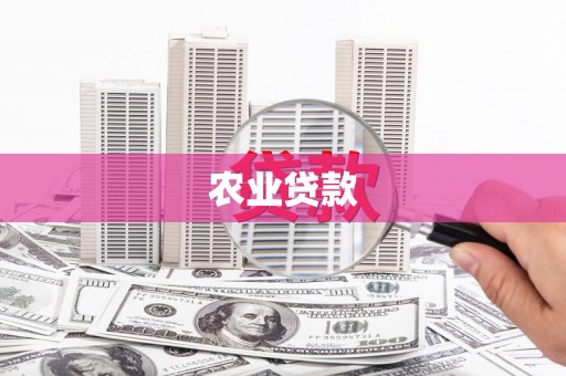 光明新区农业贷款