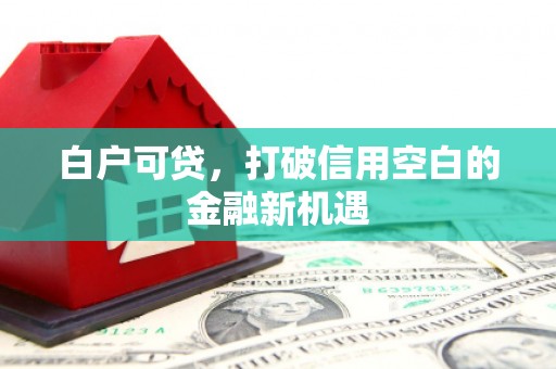 龙游白户可贷，打破信用空白的金融新机遇