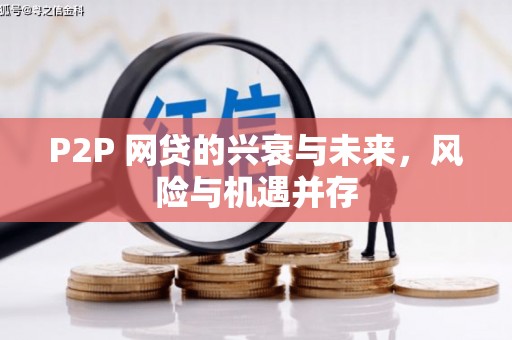 甘南P2P 网贷的兴衰与未来，风险与机遇并存