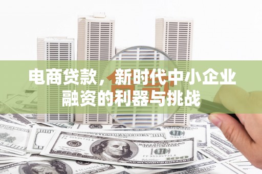 乐东电商贷款，新时代中小企业融资的利器与挑战