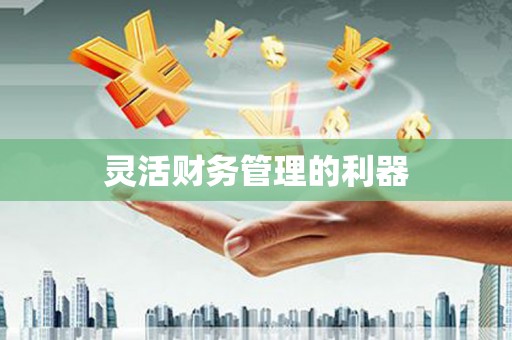 绥芬河灵活财务管理的利器