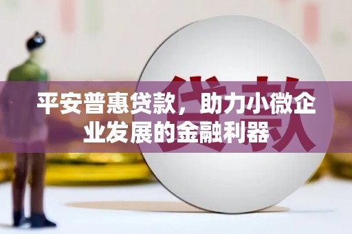 荥经平安普惠贷款，助力小微企业发展的金融利器