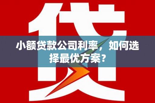 长滨小额贷款公司利率，如何选择最优方案？