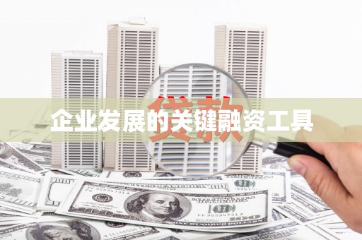 武义企业发展的关键融资工具
