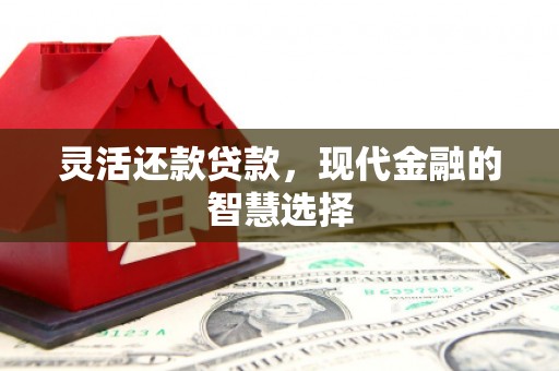 桥东灵活还款贷款，现代金融的智慧选择
