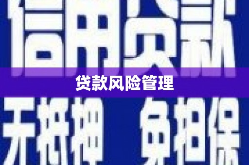西山贷款风险管理