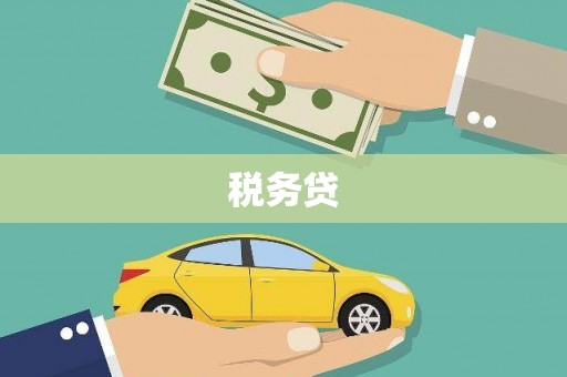 桃城税务贷
