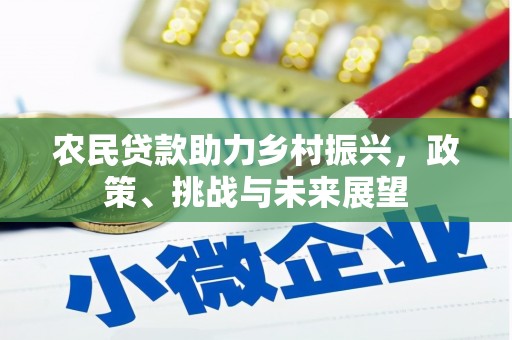 宽甸农民贷款助力乡村振兴，政策、挑战与未来展望