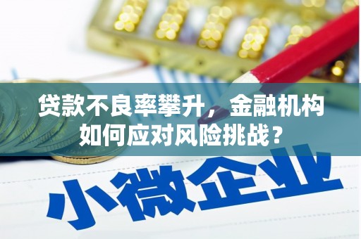 山上贷款不良率攀升，金融机构如何应对风险挑战？