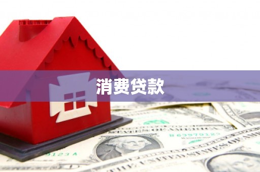 成武消费贷款