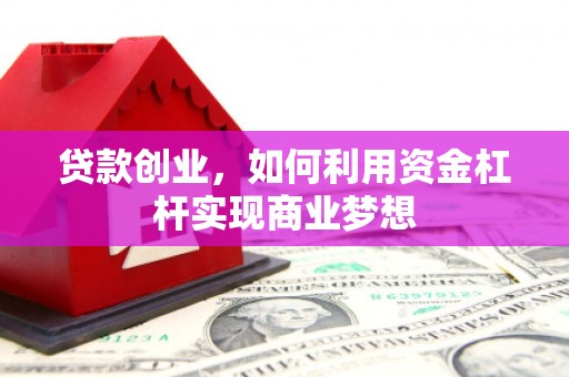 临邑贷款创业，如何利用资金杠杆实现商业梦想