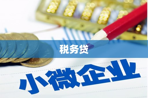 朔州税务贷