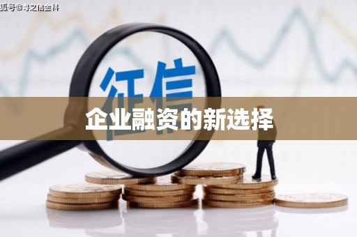 雷州企业融资的新选择