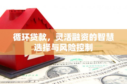 镇巴循环贷款，灵活融资的智慧选择与风险控制
