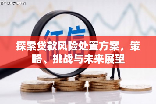 瑞金探索贷款风险处置方案，策略、挑战与未来展望