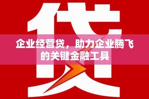 莿桐企业经营贷，助力企业腾飞的关键金融工具