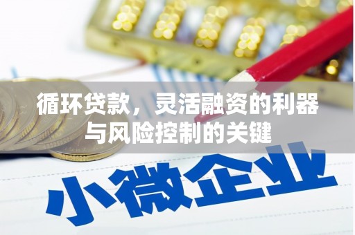 蕲春循环贷款，灵活融资的利器与风险控制的关键