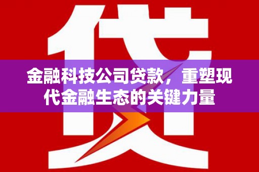 清河门金融科技公司贷款，重塑现代金融生态的关键力量