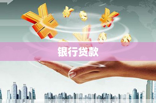 德兴银行贷款