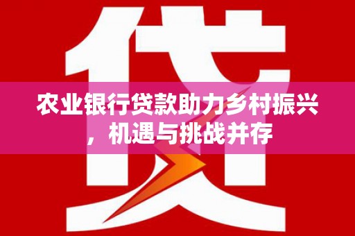 沧源农业银行贷款助力乡村振兴，机遇与挑战并存