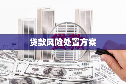 梁园贷款风险处置方案