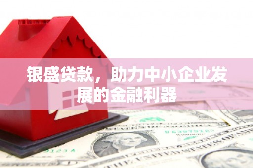 柳林银盛贷款，助力中小企业发展的金融利器