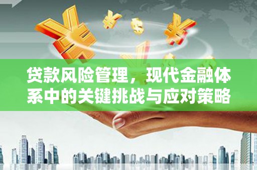 市南贷款风险管理，现代金融体系中的关键挑战与应对策略